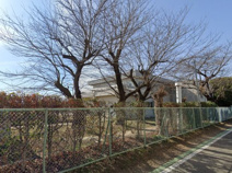 寄居町立桜沢小学校