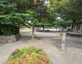 新森中央公園の画像1