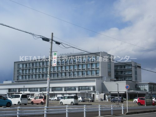 の画像