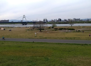 太子橋中公園の画像1