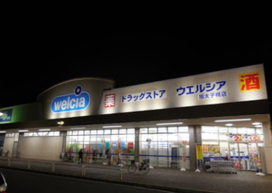ウエルシア　旭太子橋店の画像1