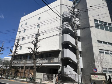 柳町こどもの森の画像1