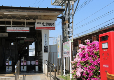 忠岡の画像1
