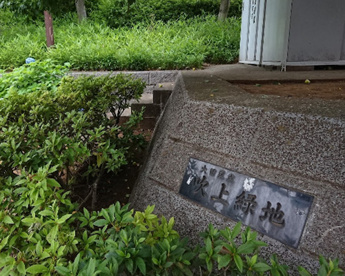 吹上緑地児童公園の画像1
