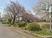 神谷サクラ公園