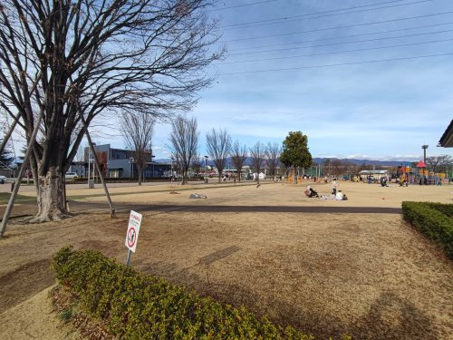 の画像