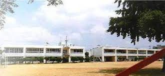 豊岡小学校の画像