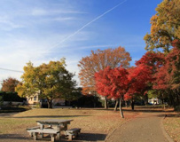 小宮まちの広場