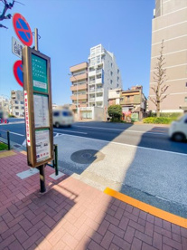 中野天神前バス停(新代田駅・王子駅行き)の画像1