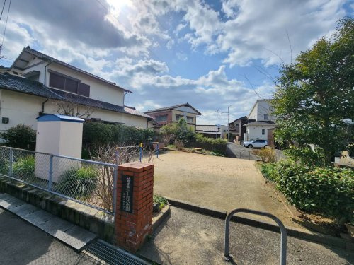 の画像
