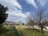 新宿区立富久さくら公園