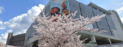 成城石井名古屋藤ヶ丘エフ店の画像1