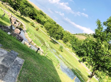 城陽五里五里の丘【京都府立木津川運動公園】の画像2