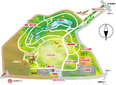 城陽五里五里の丘【京都府立木津川運動公園】の画像5
