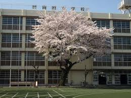 板橋区立向原小学校の画像1