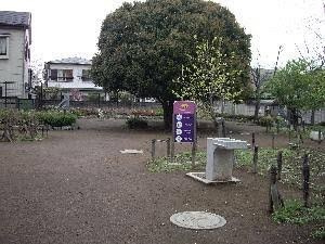八幡通り公園の画像1