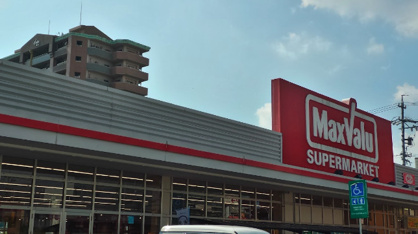 マックスバリュ鳩岡店の画像1