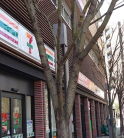 セブン-イレブン 横浜日ノ出町駅前店の画像1