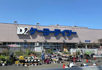 ケーヨーデイツー 立川幸町店