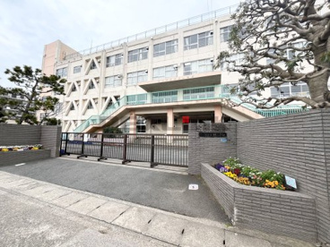 市川市立大野小学校の画像1