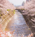 生田川公園
