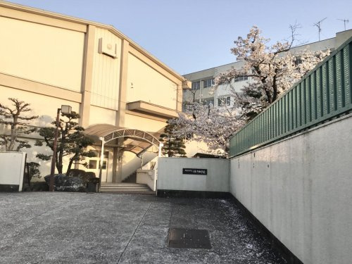 の画像