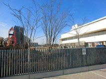 渋谷教育学園浦安幼稚園