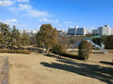 中央公園