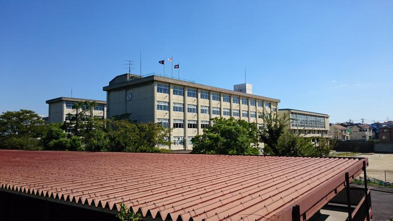 の画像