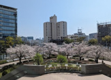 晴海第三公園