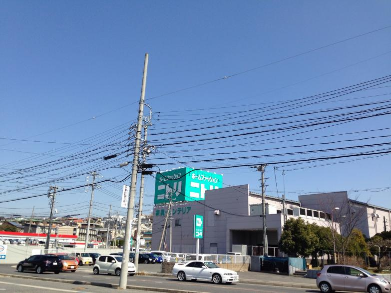 の画像