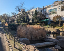 呑川公園