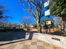 練馬区立大泉学園公園