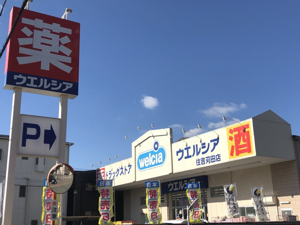 の画像