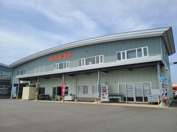 の画像