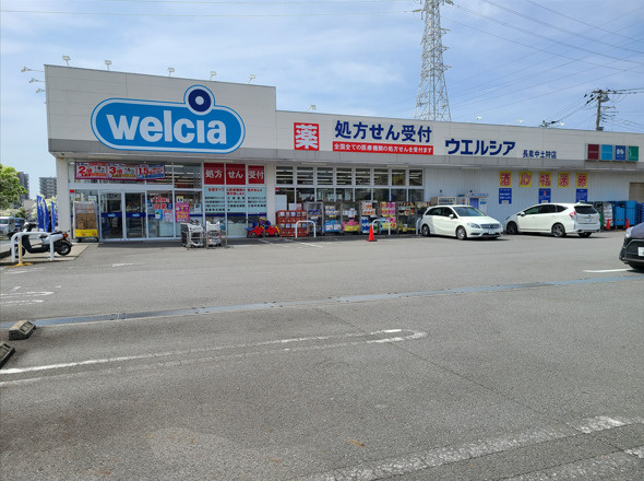 の画像