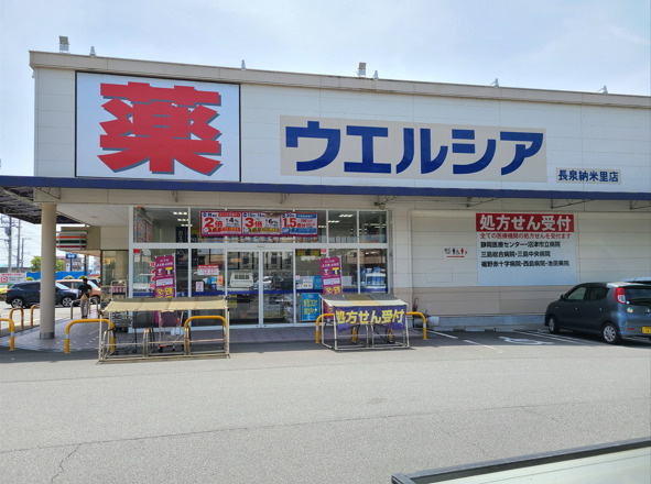 の画像