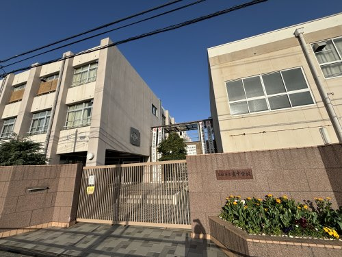 の画像