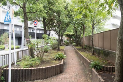 東雲緑道公園の画像1