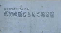 草加松原どろんこ保育園の画像1