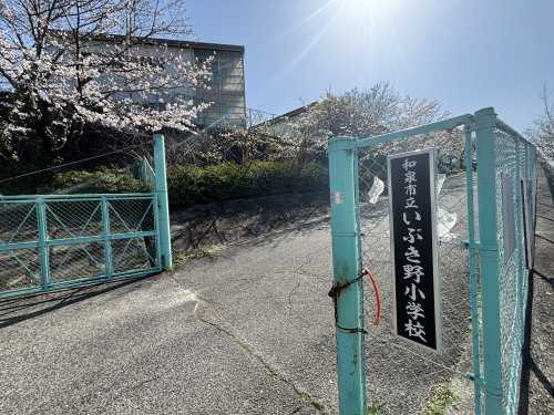 の画像