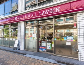 ナチュラルローソン 新川一丁目店の画像1