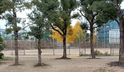 生野東公園の画像1
