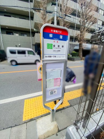 柳窪バス停(荻窪駅行き)の画像1