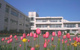 柏崎市立剣野小学校の画像