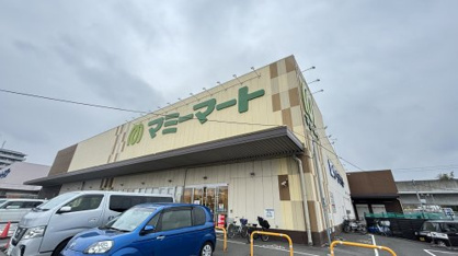 マミーマート 流山セントラルパーク店の画像1
