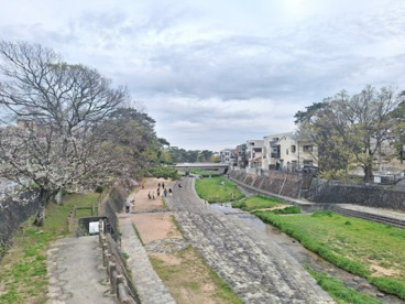 夙川河川敷公園の画像2