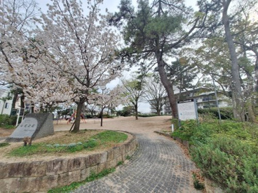 松風公園の画像1