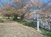 神園公園
