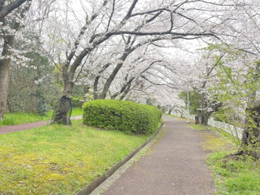 竹城公園の画像2